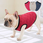 Cute and Cozy Frenchie Vest