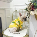 Pineapple Pup Frenchie Sweater