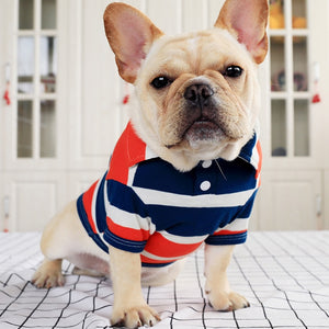 Small dog clothing - clothing & accessories - by owner - apparel